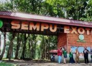 Eksplorasi Keindahan Sempu Exotic Park, Surga Wisata Alam di Kediri!