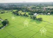 Tanah Kosong? Ubah Jadi Sumber Penghasilan dengan Cara Ini