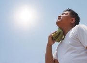 Kenali Risiko dan Tips Aman Menghindari Gelombang Panas